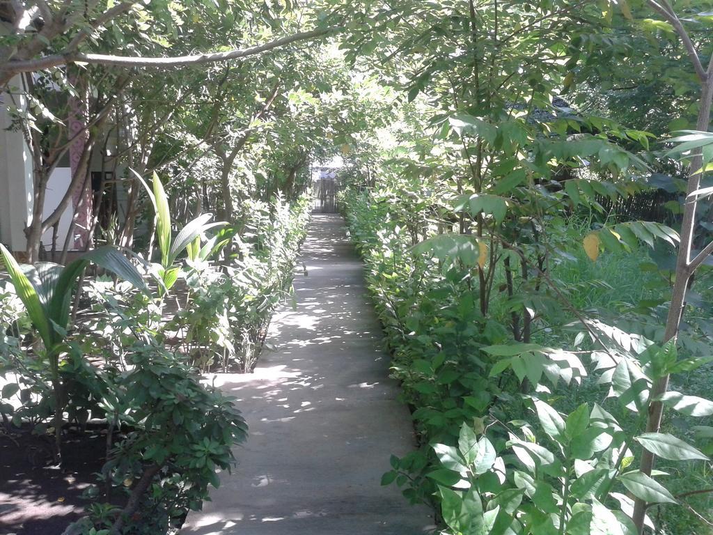 Putri Homestay Ilhas Gili Exterior foto