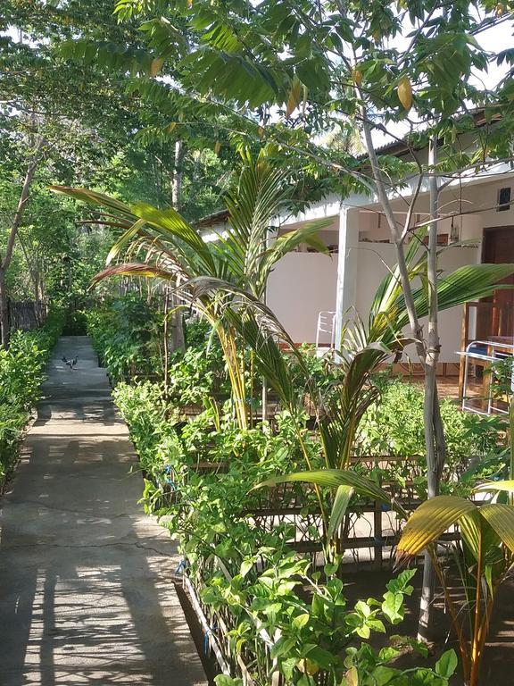 Putri Homestay Ilhas Gili Exterior foto